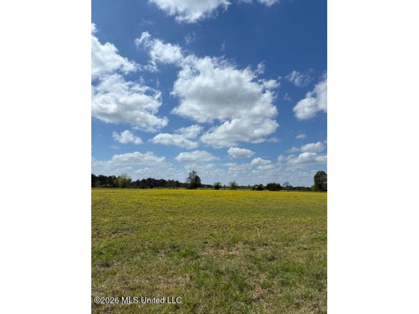 Wow !!! Have you been looking for land in the country to build a - photo 6