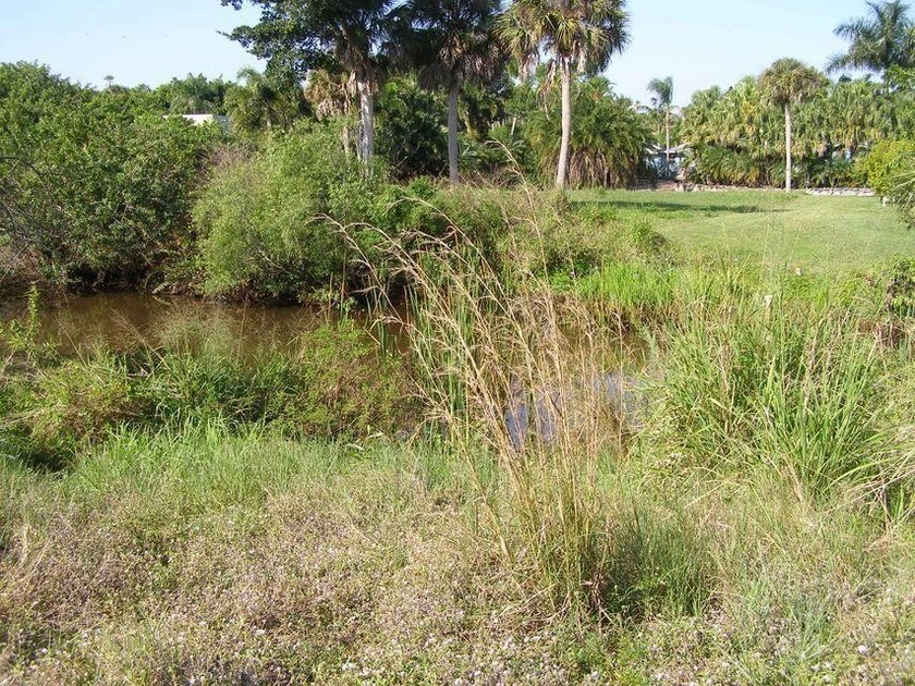 506 NE Oleander Ave - photo 4
