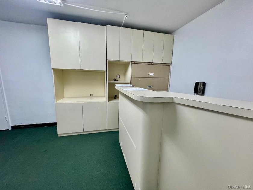 This commercial medical office condo situated right one Queens - photo 20