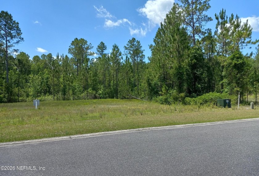 Beautiful lot in Jacksonville Ranch Club. Exclusive Equestrian - photo 4