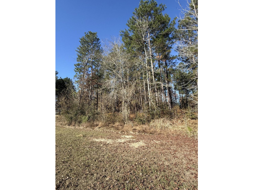 This beautiful partially wooded lot on Hole 14 of Shadow Ridge - photo 4