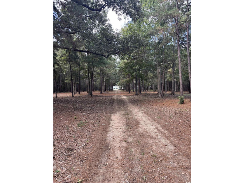 A rare opportunity to own 55 acres of pristine land with - photo 14