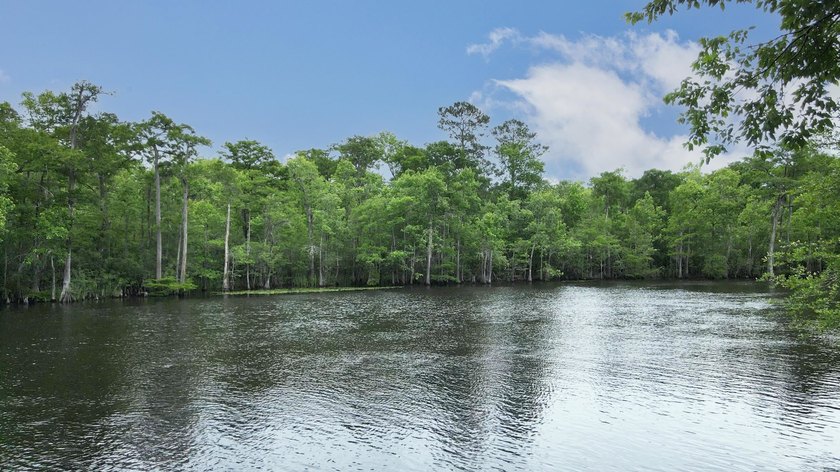 Discover your oasis in the highly desirable gated community of - photo 50