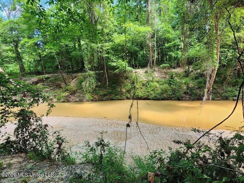 Hunting Cabin on 63 Acres in Franklin County, Mississippi - photo 4