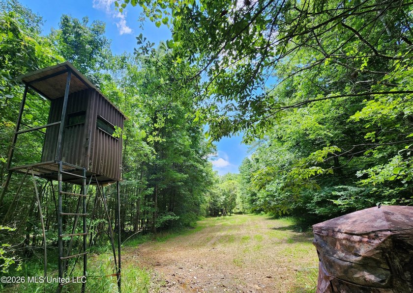 Hunting Cabin on 63 Acres in Franklin County, Mississippi - photo 5