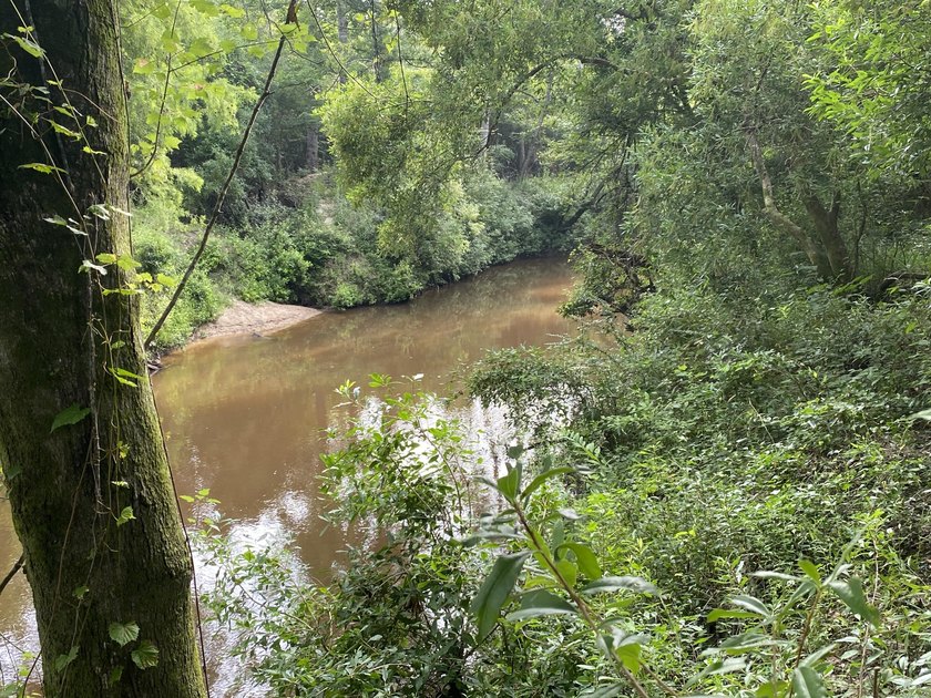 Beautiful Waterfront lot on the Little Rivere enjoy the river - photo 7