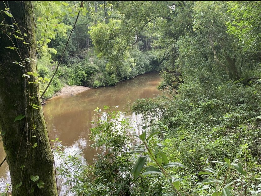 Beautiful Waterfront lot on the Little Rivere enjoy the river - photo 8