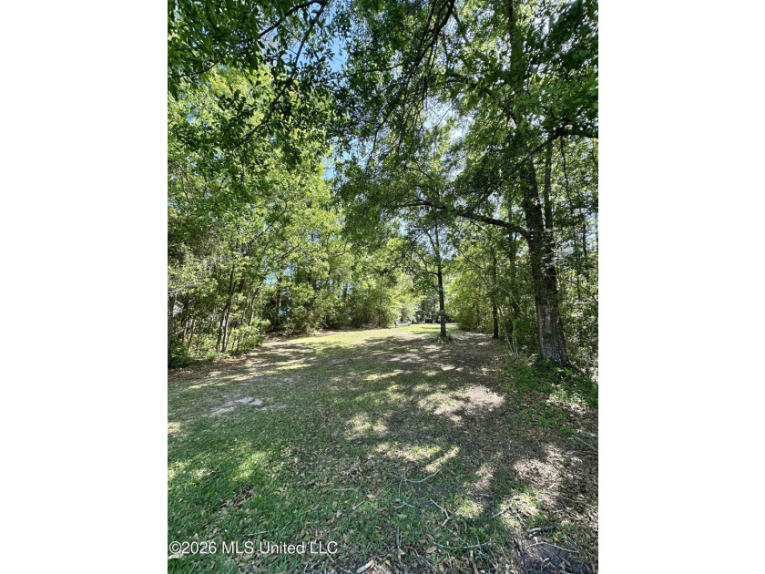 Nice large residential building lot in Gautier. Minutes away - photo 4