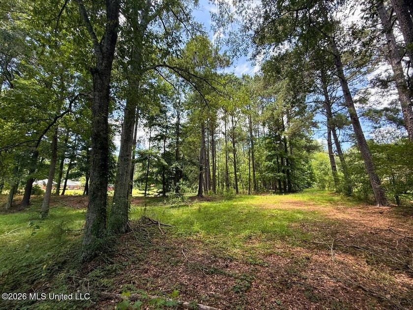 If you've been searching for peaceful country living in the - photo 29