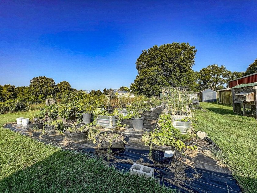 This property is on the south side of Batesville inside city - photo 40