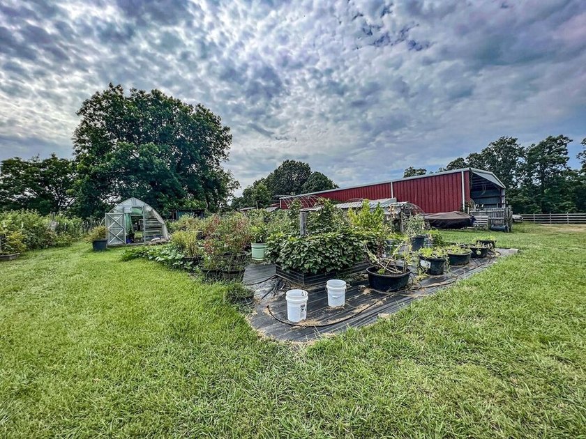 This property is on the south side of Batesville inside city - photo 44
