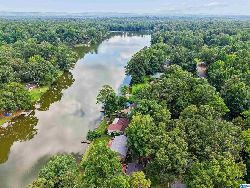 Your Lake home on beautiful Lake Tate just hit the market! - photo 40