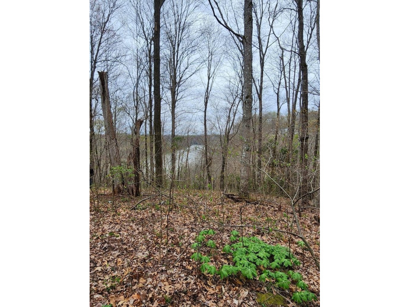 Build your dream home on this beautiful property in Stone Cliff - photo 4