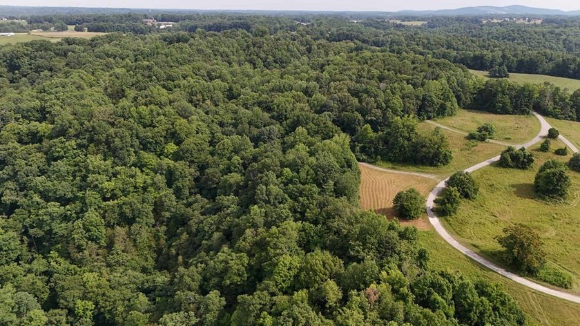 Build your dream home on this beautiful property in Stone Cliff - photo 6