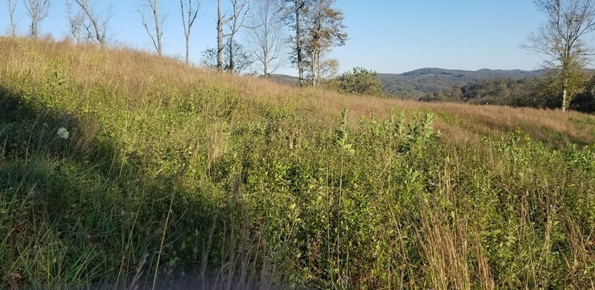 Come relax and unwind at beautiful Dale Hollow Lake! This - photo 8