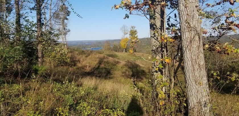 Come relax and unwind at beautiful Dale Hollow Lake! This - photo 10