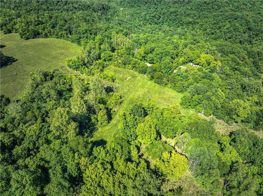 32.22 acres in the heart of Ponca, just minutes from Steel Creek - photo 5