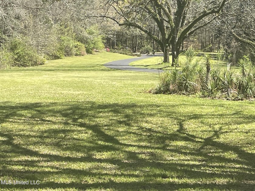 The drive down the long shaded drive leads you to this beautiful - photo 11