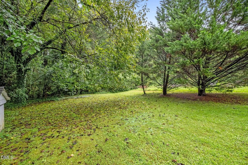A Build-On-Your-Own-Lot opportunity in Durham! This - photo 22