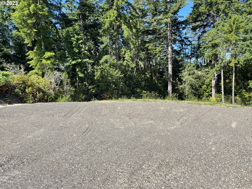 PRICE REDUCED!!! Build your custom home or place a manufactured - photo 4