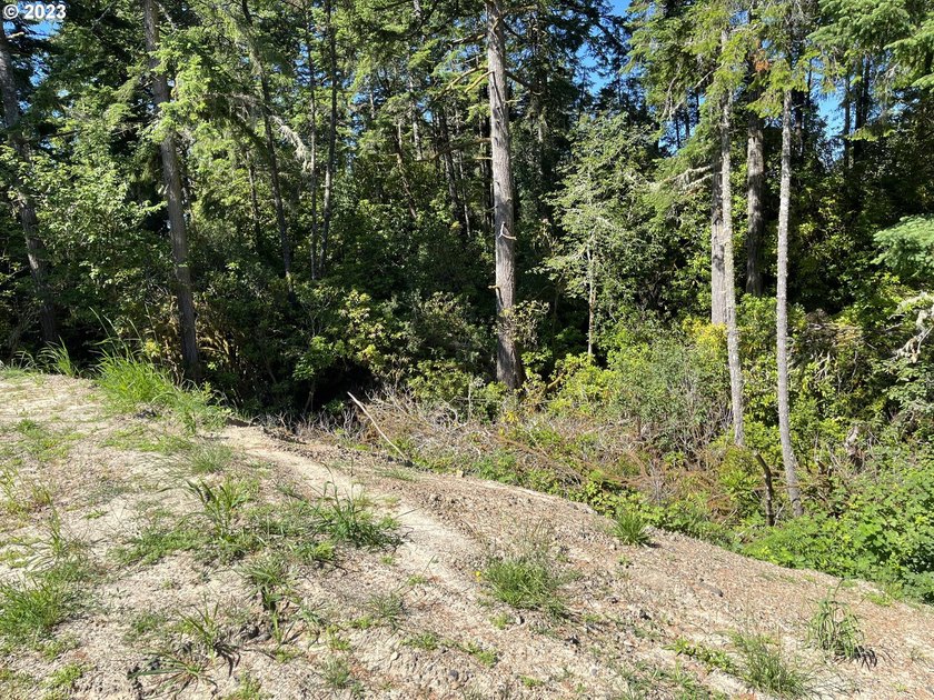 PRICE REDUCED!!! Build your custom home or place a manufactured - photo 5