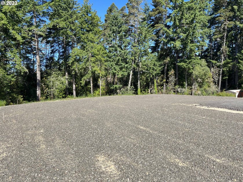 PRICE REDUCED!!! Build your custom home or place a manufactured - photo 9
