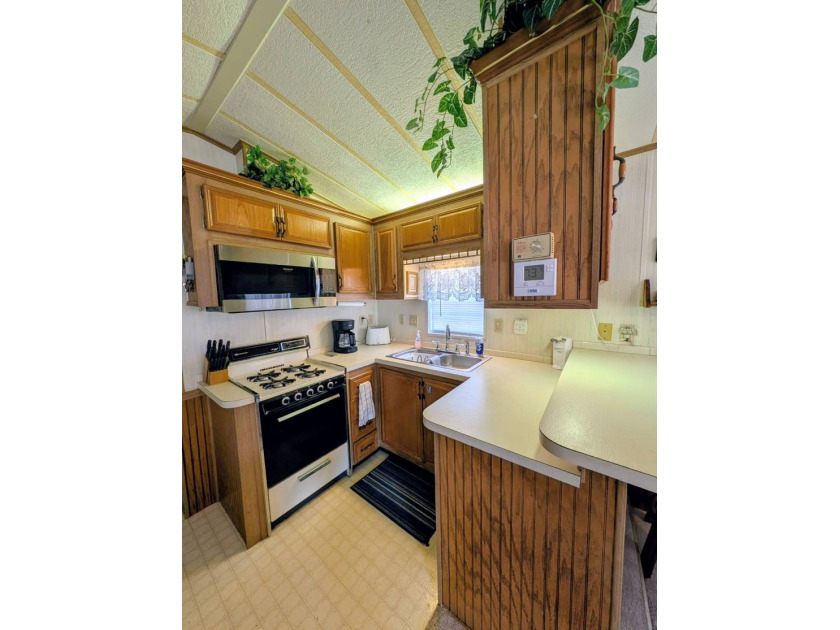 Experience the ultimate Florida lifestyle in this beautifully - photo 11
