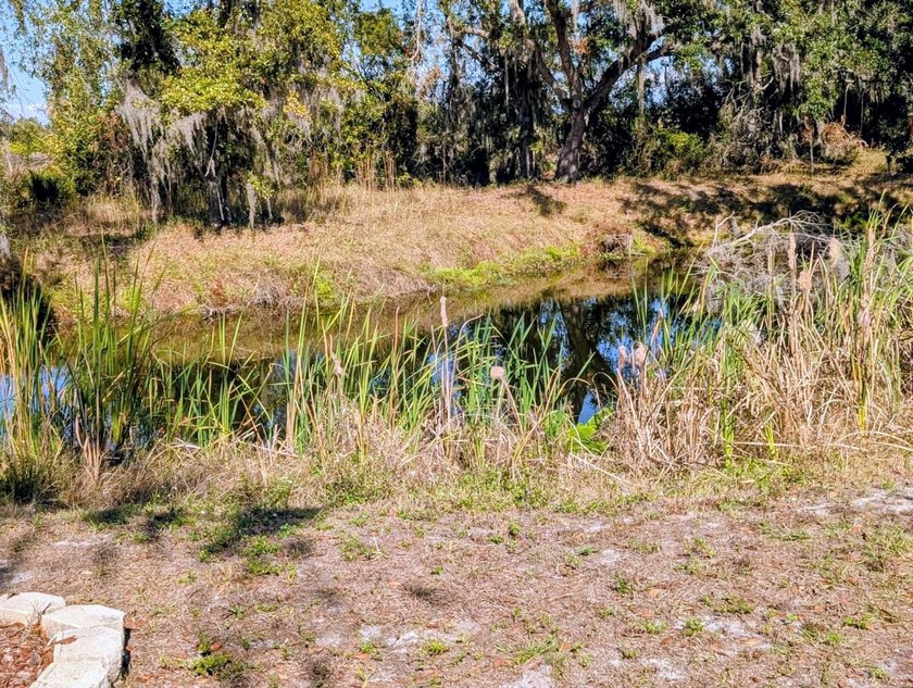 Experience the ultimate Florida lifestyle in this beautifully - photo 28