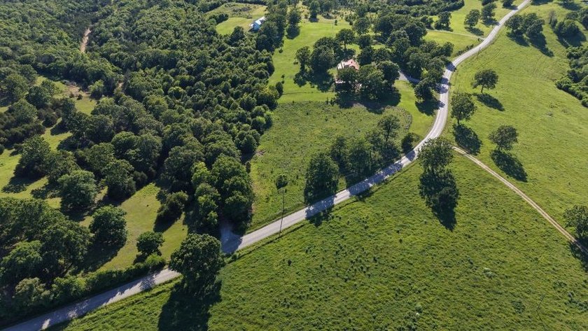 Secluded 5-acre m/l tract in the desirable Windy Ridge Estates - photo 2