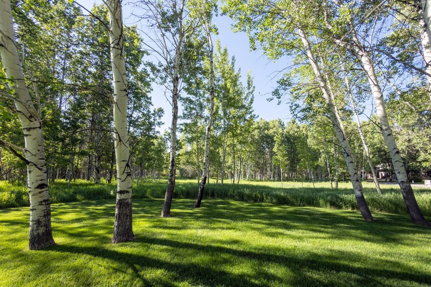 This property spans 7 acres over 3 parcels and hold deep - photo 42