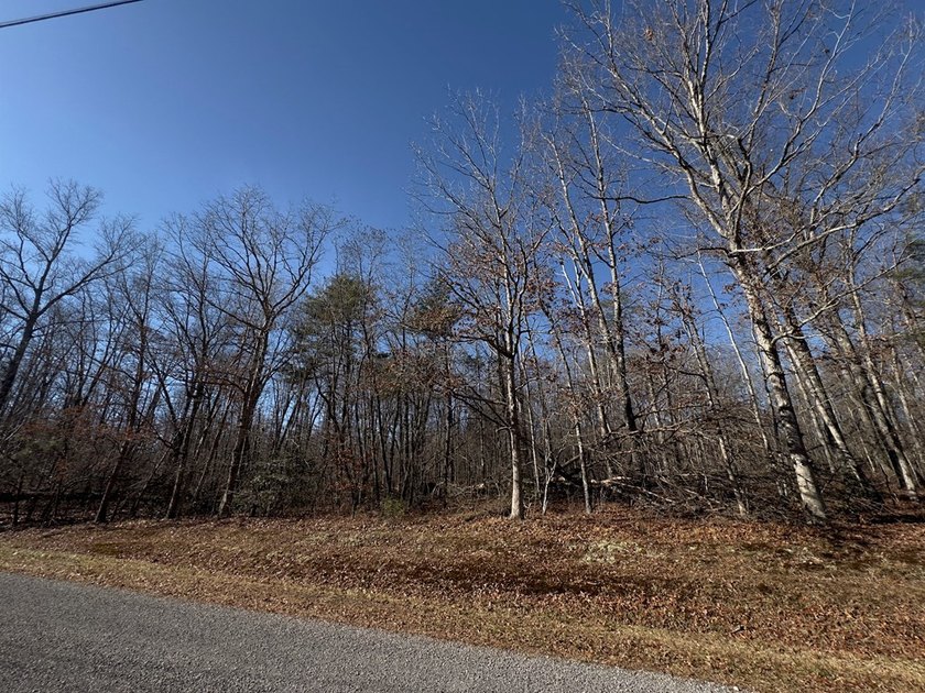 Welcome to peaceful Cumberland Lakes! This beautiful wooded lot - photo 2