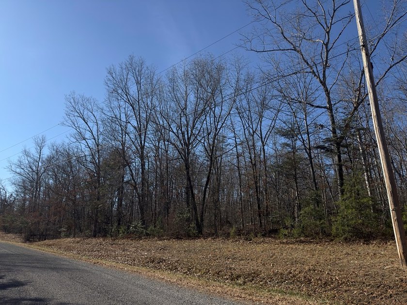 Welcome to peaceful Cumberland Lakes! This beautiful wooded lot - photo 3