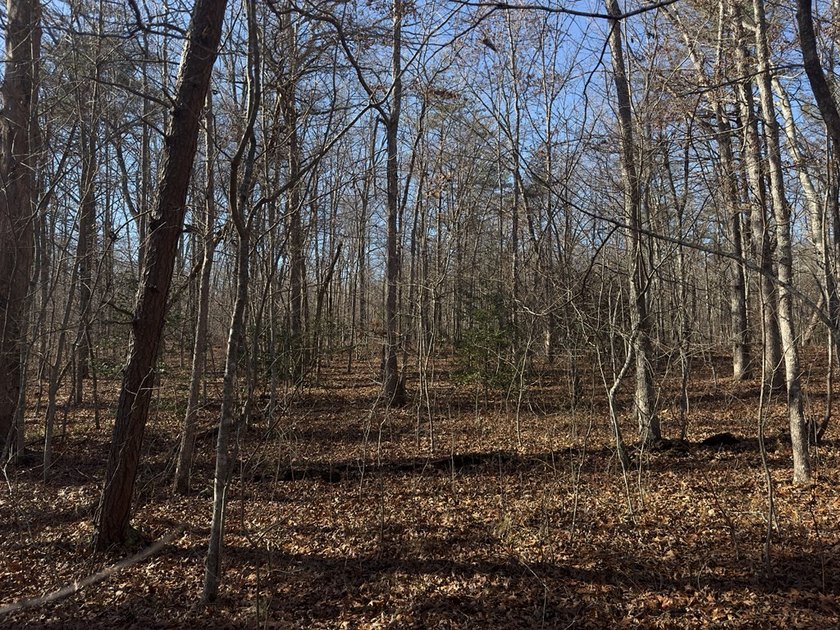 Welcome to peaceful Cumberland Lakes! This beautiful wooded lot - photo 4