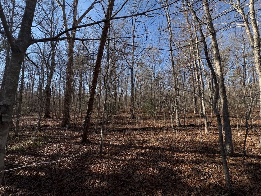 Welcome to peaceful Cumberland Lakes! This beautiful wooded lot - photo 5