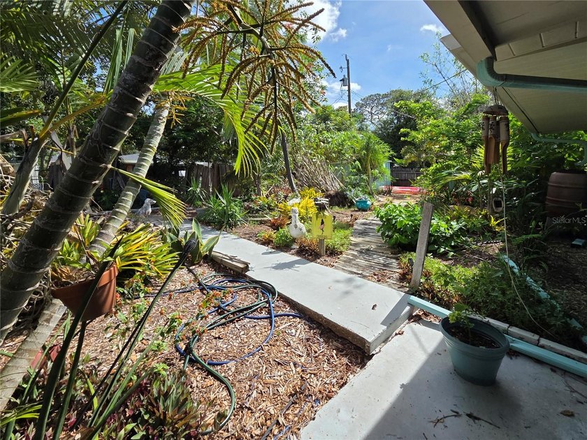 Live in a home with character. Your plant lover's dream. Solid - photo 22