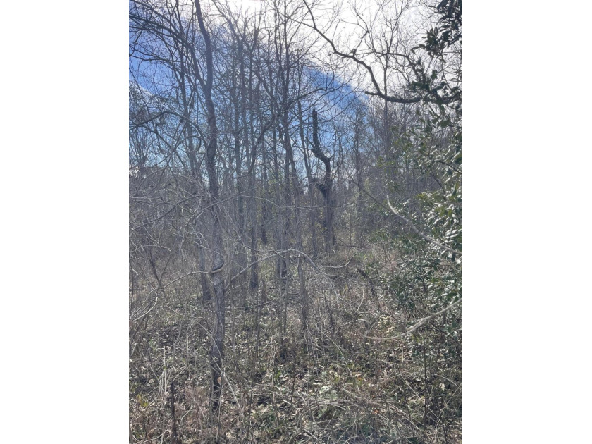 Discover an exceptional opportunity to own a +/-0.62-acre - photo 5