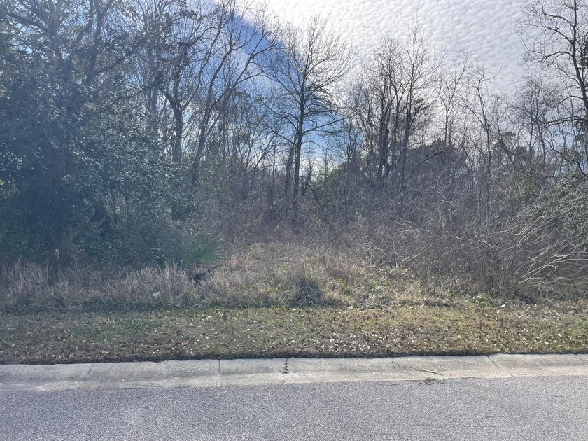 Discover an exceptional opportunity to own a +/-0.62-acre - photo 6