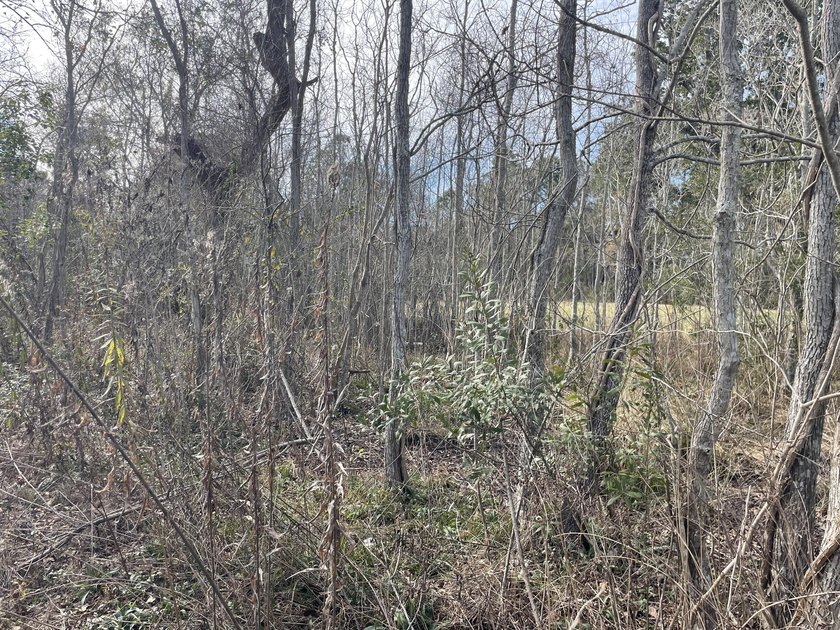 Discover an exceptional opportunity to own a +/-0.62-acre - photo 7