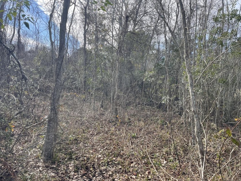 Discover an exceptional opportunity to own a +/-0.62-acre - photo 10