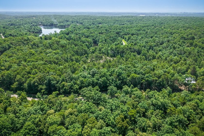 Escape to the peaceful beauty of Tennessee's Cumberland Plateau - photo 4