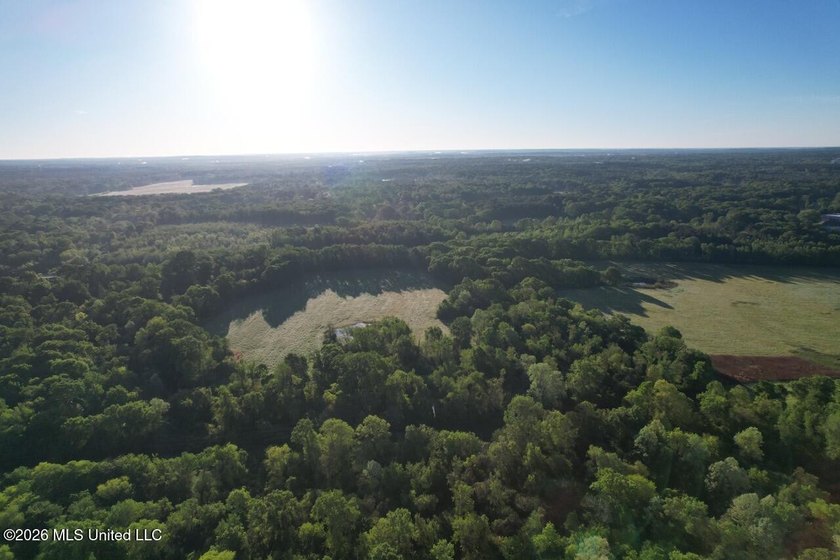 White Oak 266 is a 266+/- acre tract in Hinds County right on - photo 3