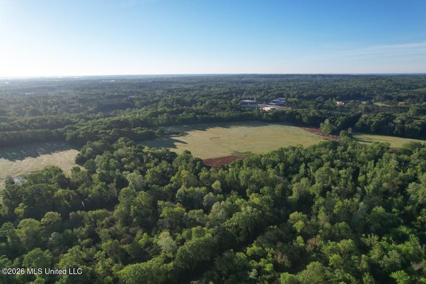 White Oak 266 is a 266+/- acre tract in Hinds County right on - photo 4