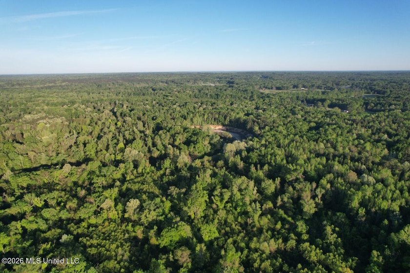 White Oak 266 is a 266+/- acre tract in Hinds County right on - photo 7