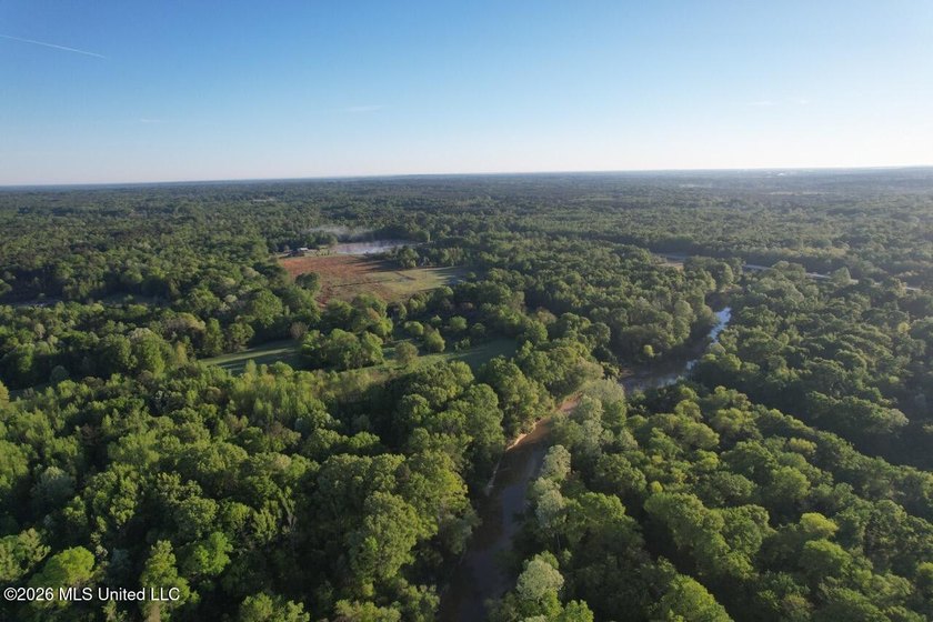 White Oak 266 is a 266+/- acre tract in Hinds County right on - photo 8