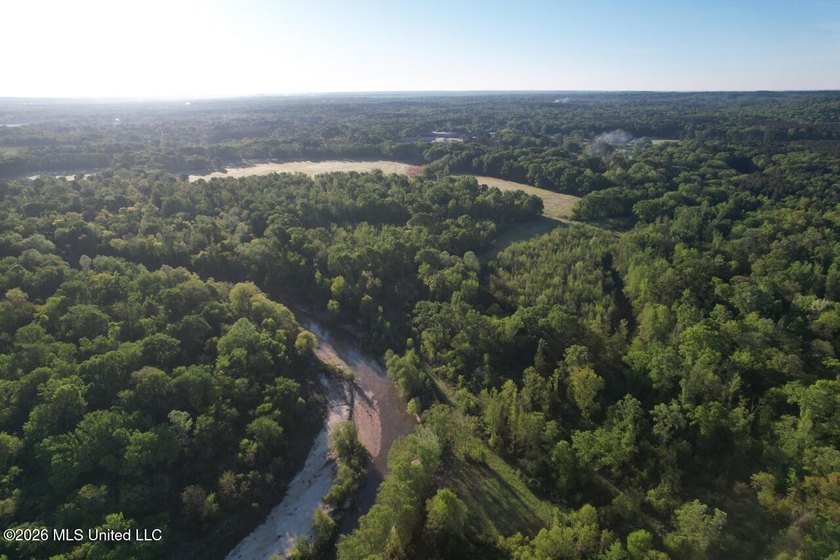 White Oak 266 is a 266+/- acre tract in Hinds County right on - photo 10