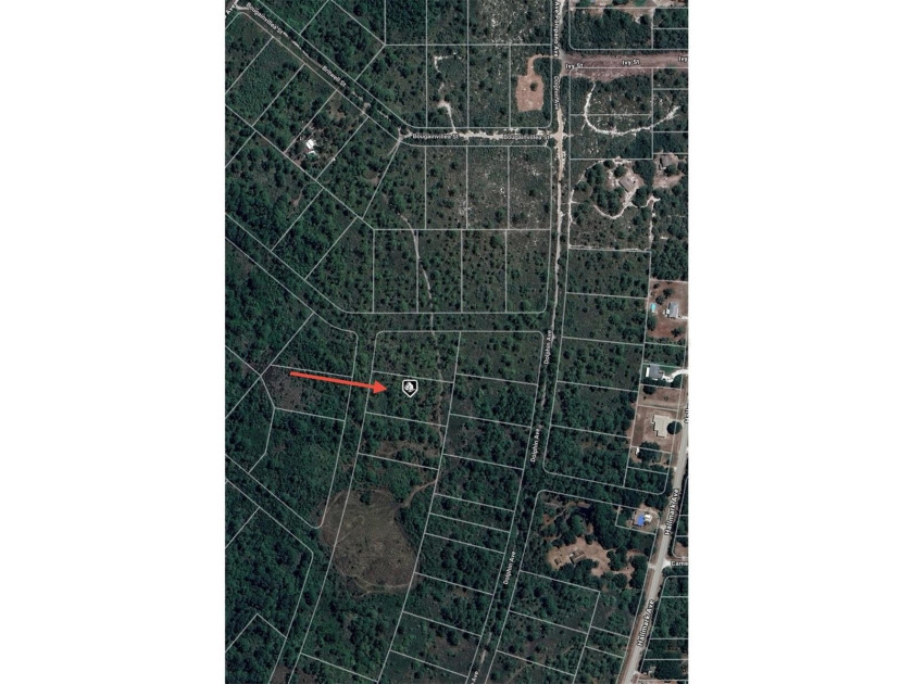1.07 ACRE LOT! Zoning: R1. Quiet rural area with lots of - photo 2