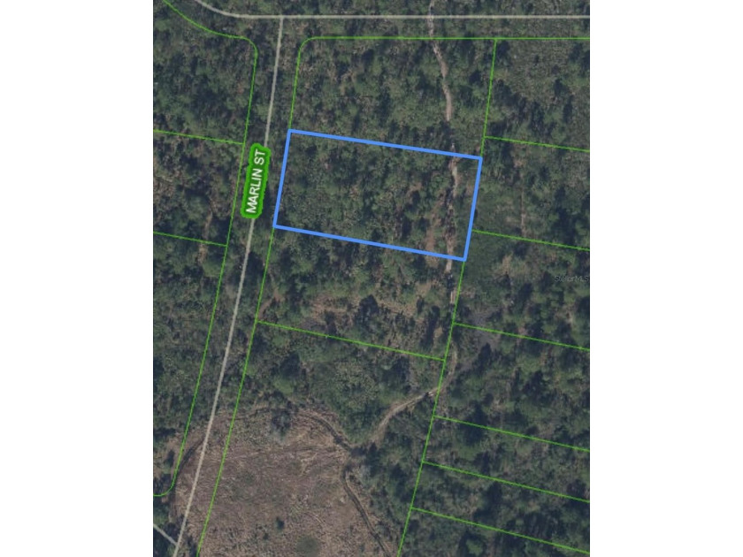 1.07 ACRE LOT! Zoning: R1. Quiet rural area with lots of - photo 4