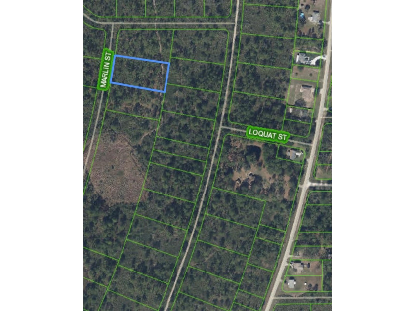 1.07 ACRE LOT! Zoning: R1. Quiet rural area with lots of - photo 5