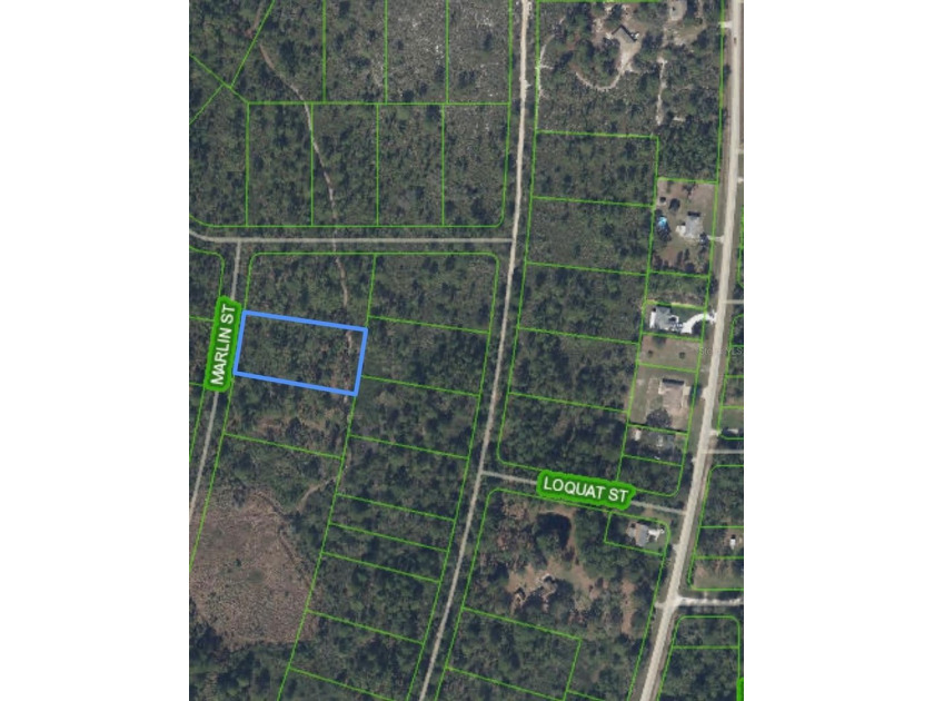 1.07 ACRE LOT! Zoning: R1. Quiet rural area with lots of - photo 6