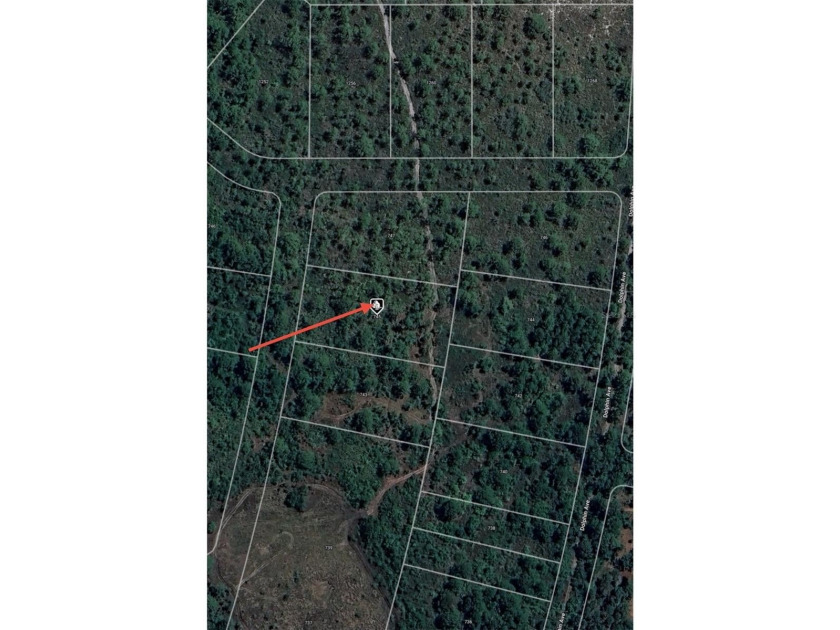1.07 ACRE LOT! Zoning: R1. Quiet rural area with lots of - photo 7